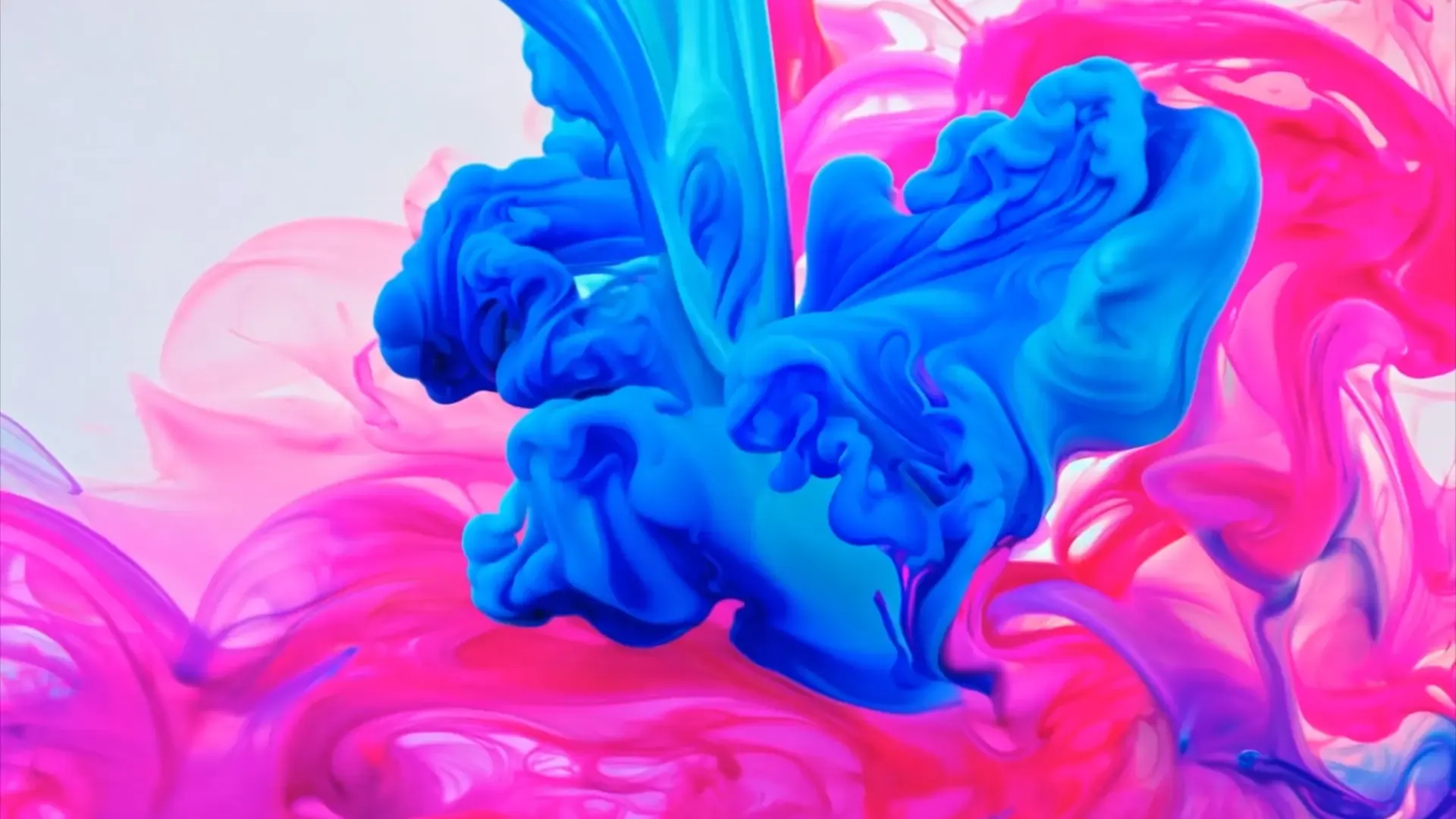 Abstract Blue and Pink Ink Transition Video